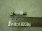 Shackle Pin (3/8) 9.5mm