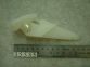 Pitot Speedo Pickup